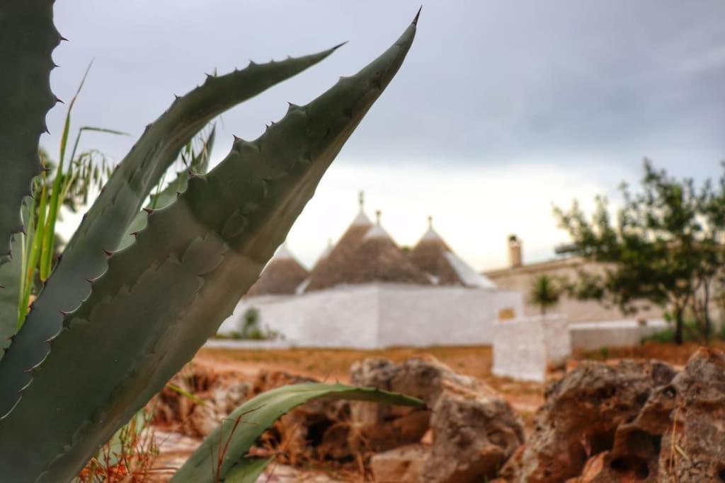 I Trulli D'A Ross Villa เชจลีเมสซาปิกา ภายนอก รูปภาพ